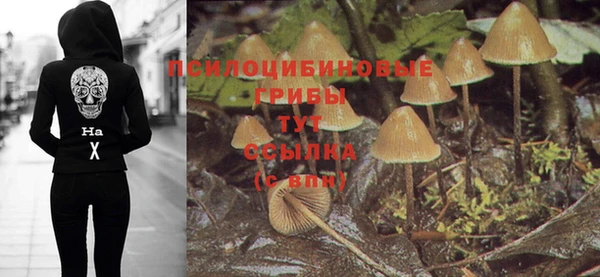 первитин Арсеньев